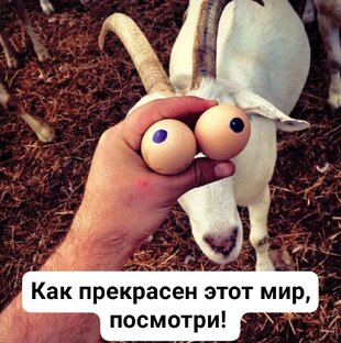 Лови момент!