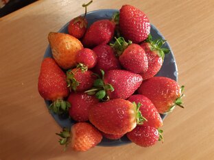Мои кулинарные опыты.