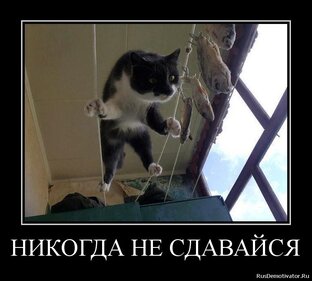 Дзен инвестиции с 0, копим 1 000 000 статистика