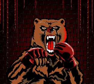 Дзен Karate.ru: MMA и Бокс статистика