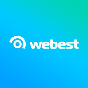 Статистика яндекс дзен Webest - digital agency