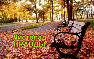 Дзен True_listopad статистика
