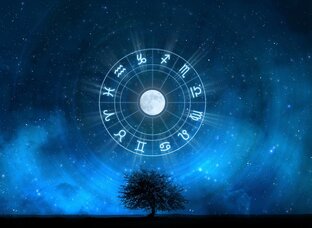 Дзен ⭐Секреты Зодиака статистика