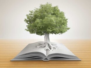 Дзен Жизнь-это открытая книга статистика