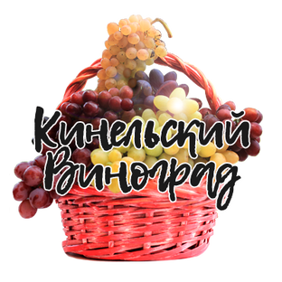 Статистика Дзен Кинельский виноград