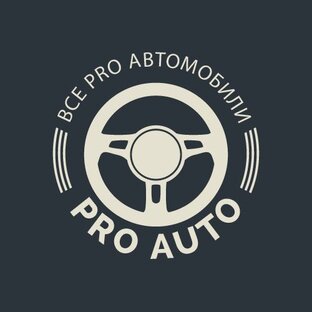 Логотип канала Дмитрий Афонин ProАвто