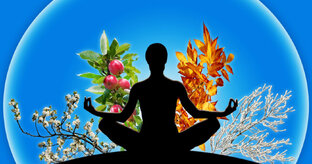 Дзен Интересные истории статистика