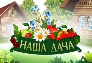 Дзен Дачная энциклопедия статистика