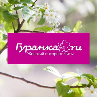 Статистика Дзен Гуранка.ру