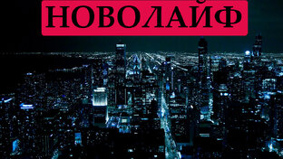 Дзен Новолайф статистика