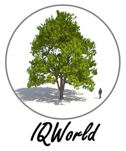 Дзен IQWORLD статистика