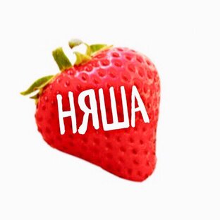 Дзен НЯША статистика