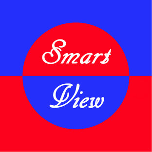 Статистика Дзен SmartView
