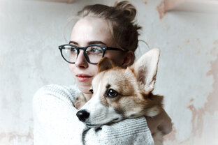 Дзен Vargue blog статистика