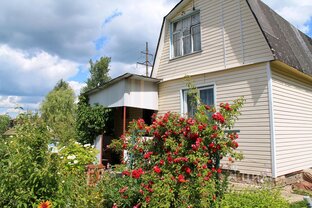 Дзен Жизнь огродника статистика