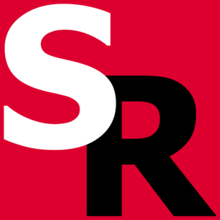 Статистика Дзен SmartReality