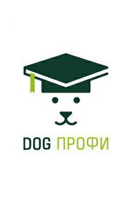 Статистика Дзен DOG-ПРОФИ