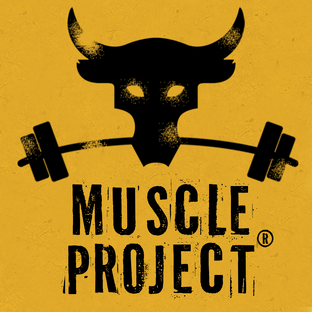 Статистика яндекс дзен Muscle Project