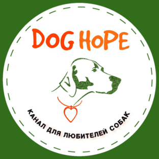 Дзен Приют для собак «DogHope» статистика