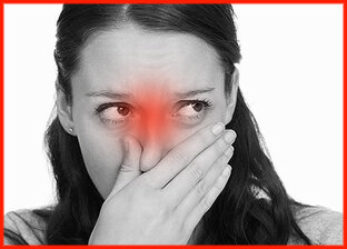 Дзен Аллергик - не приговор! статистика