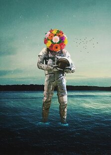 Дзен Тот самый сказо4ник статистика