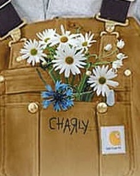 Статистика Дзен Цветы для Элджернона