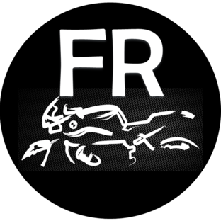 Дзен Freerider статистика