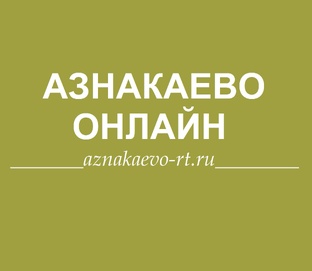 Статистика Дзен Азнакаево Онлайн