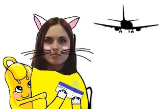 Дзен Нос любопытного туриста статистика