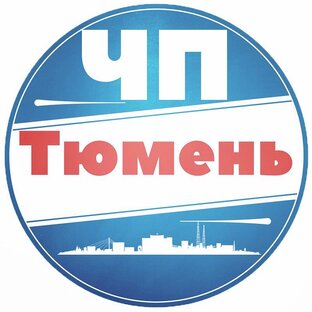 Статистика Дзен ЧП ТЮМЕНЬ