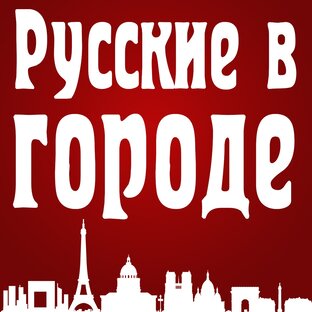 Дзен Мы переехали! статистика