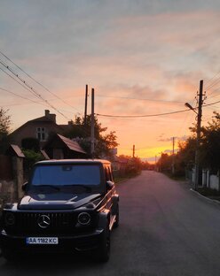 Дзен Живущий в Польше статистика