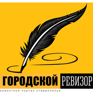 Статистика Дзен Городской Ревизор