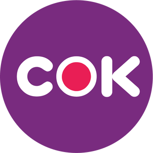 Дзен СОК.медиа статистика