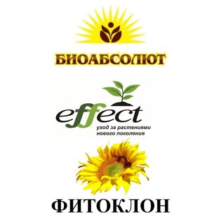 Статистика Дзен БИОАБСОЛЮТ