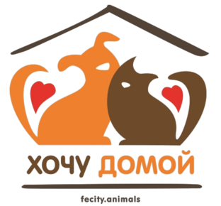 Яндекс дзен Приют для кошек "Хочу Домой" статистика