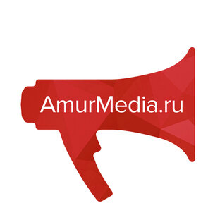 Статистика Дзен AmurMedia.ru
