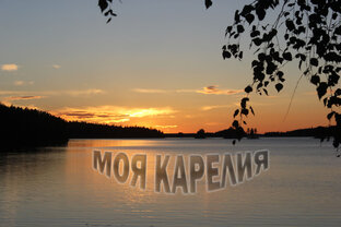 Дзен Карелия-Питер статистика