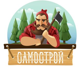 Дзен СамоСтрой статистика