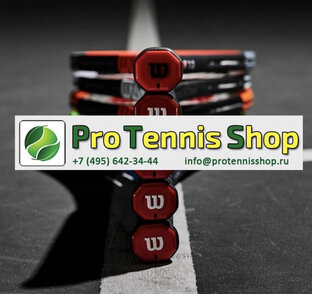 Статистика Дзен ProTennisShop.ru