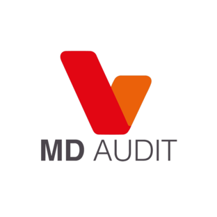 Статистика Дзен MD Audit