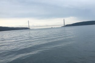 Дзен Другой взгляд!  статистика