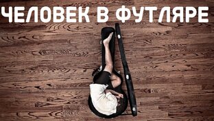 Дзен Мир глазами обывателя статистика