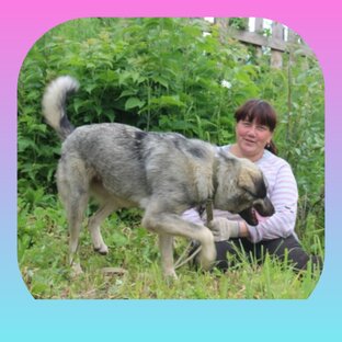 Статистика Дзен Любовь Бойкова