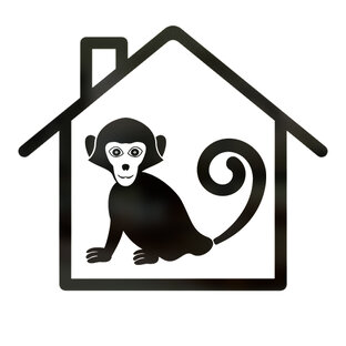 Статистика Дзен ОБЕЗЬЯНИЙ ДОМ (Monkey Home)