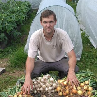 Дзен Дмитрий Дачник статистика