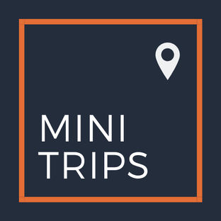 Дзен MiniTrips статистика