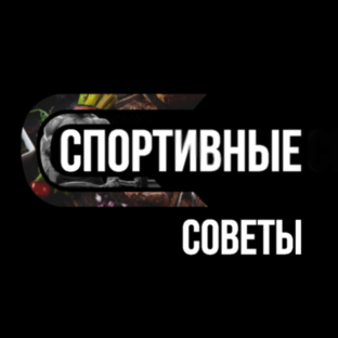 Яндекс дзен Спортивные Советы статистика