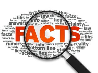 Дзен Только Факты статистика