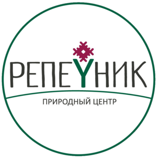 Дзен Канал Репейник статистика